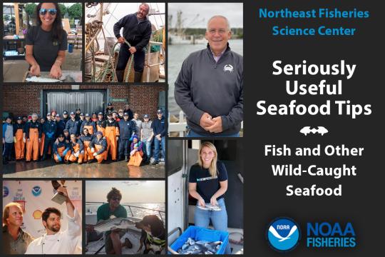 Northeast Fisheries Science Center fish and wild caught seafood stakeholders and industry partners graphic